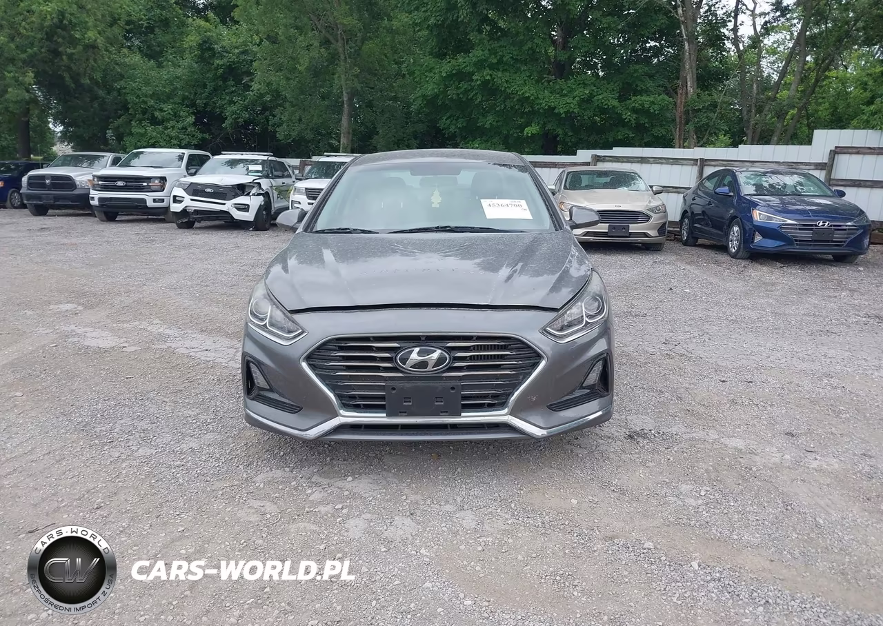 2019 Hyundai Sonata Eco VIN:5NPE24AA0KH801130 - 12