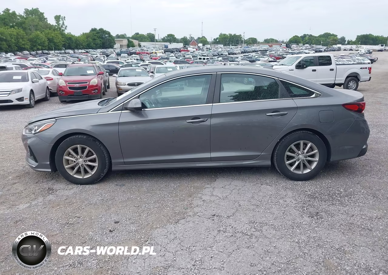 2019 Hyundai Sonata Eco VIN:5NPE24AA0KH801130 - 14