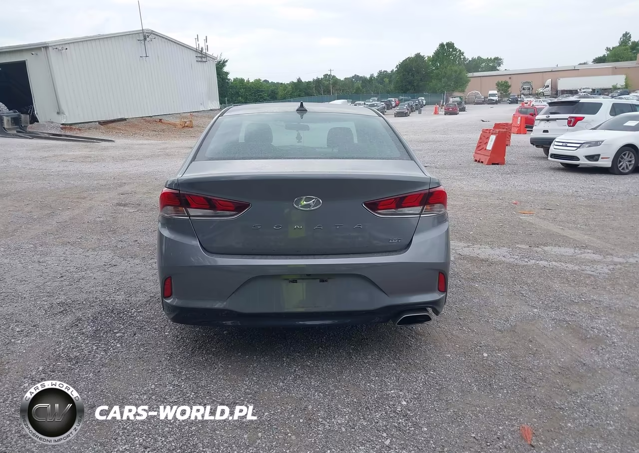 2019 Hyundai Sonata Eco VIN:5NPE24AA0KH801130 - 16