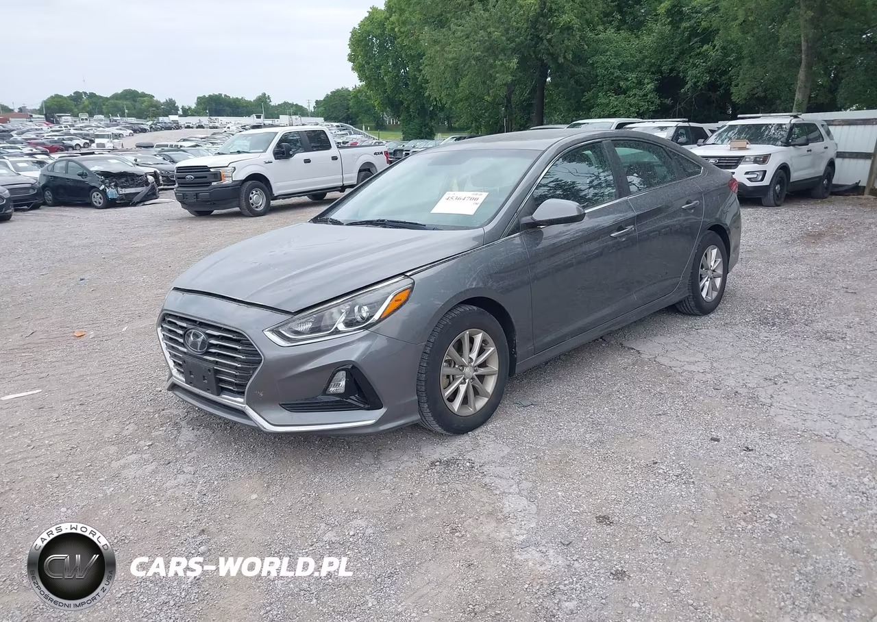 2019 Hyundai Sonata Eco VIN:5NPE24AA0KH801130 - 2