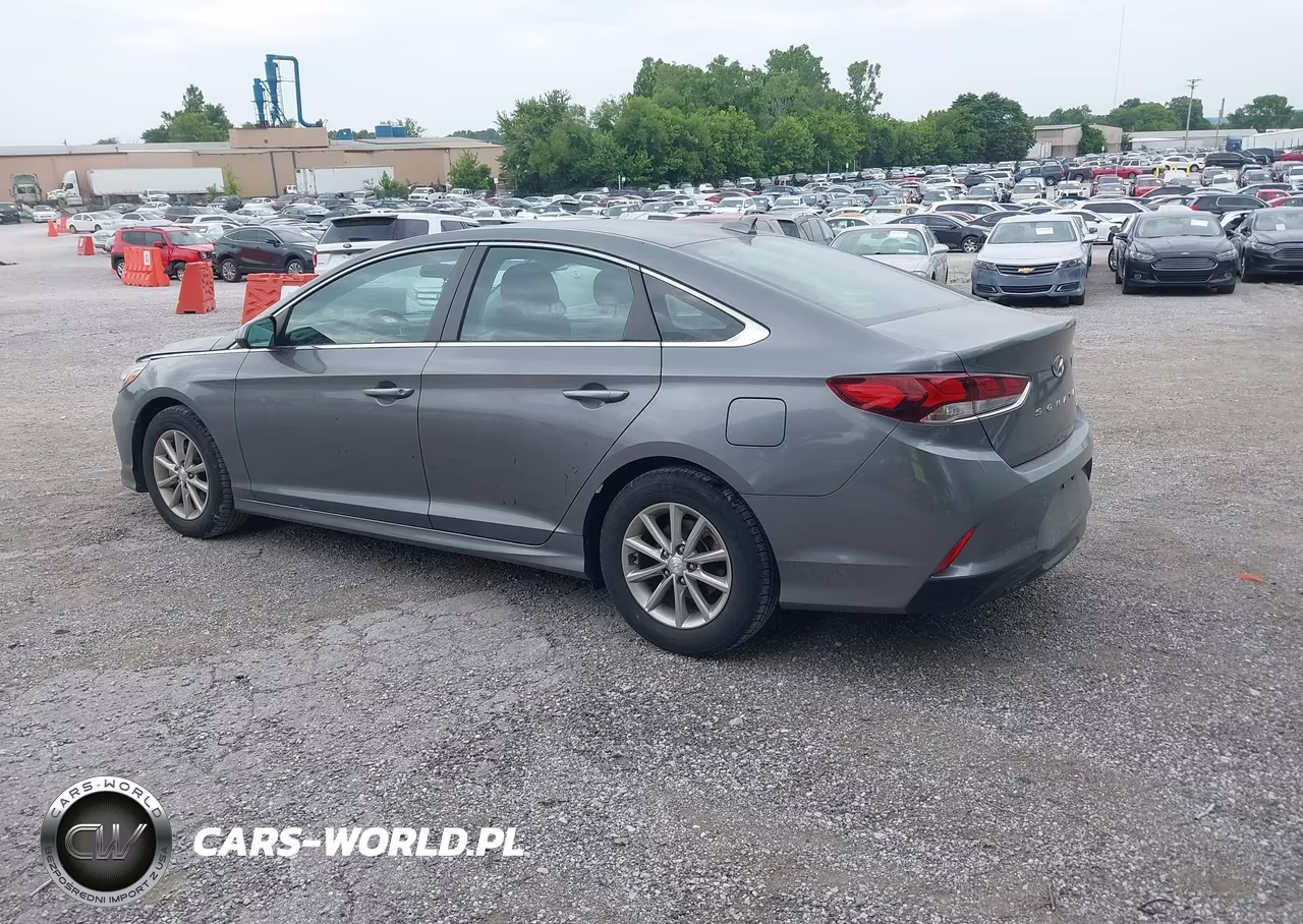 2019 Hyundai Sonata Eco VIN:5NPE24AA0KH801130 - 3