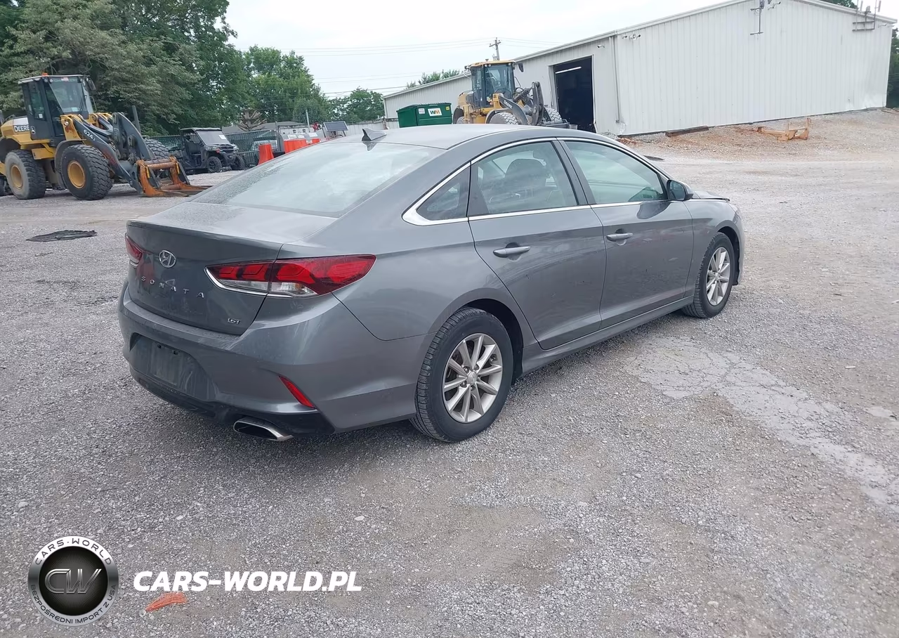 2019 Hyundai Sonata Eco VIN:5NPE24AA0KH801130 - 4