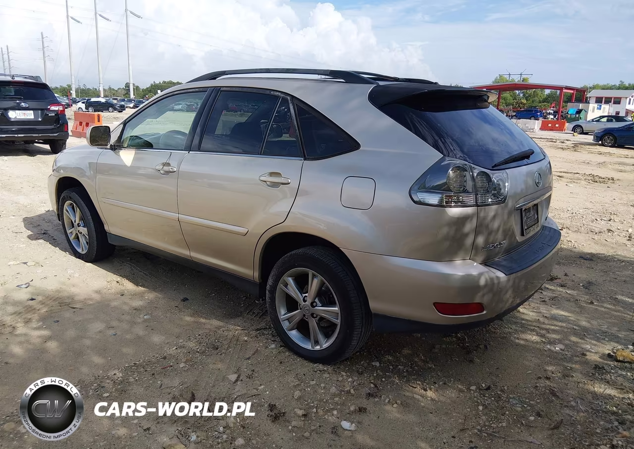 2006 Lexus Rx 400H VIN:JTJGW31U460001190 - 3