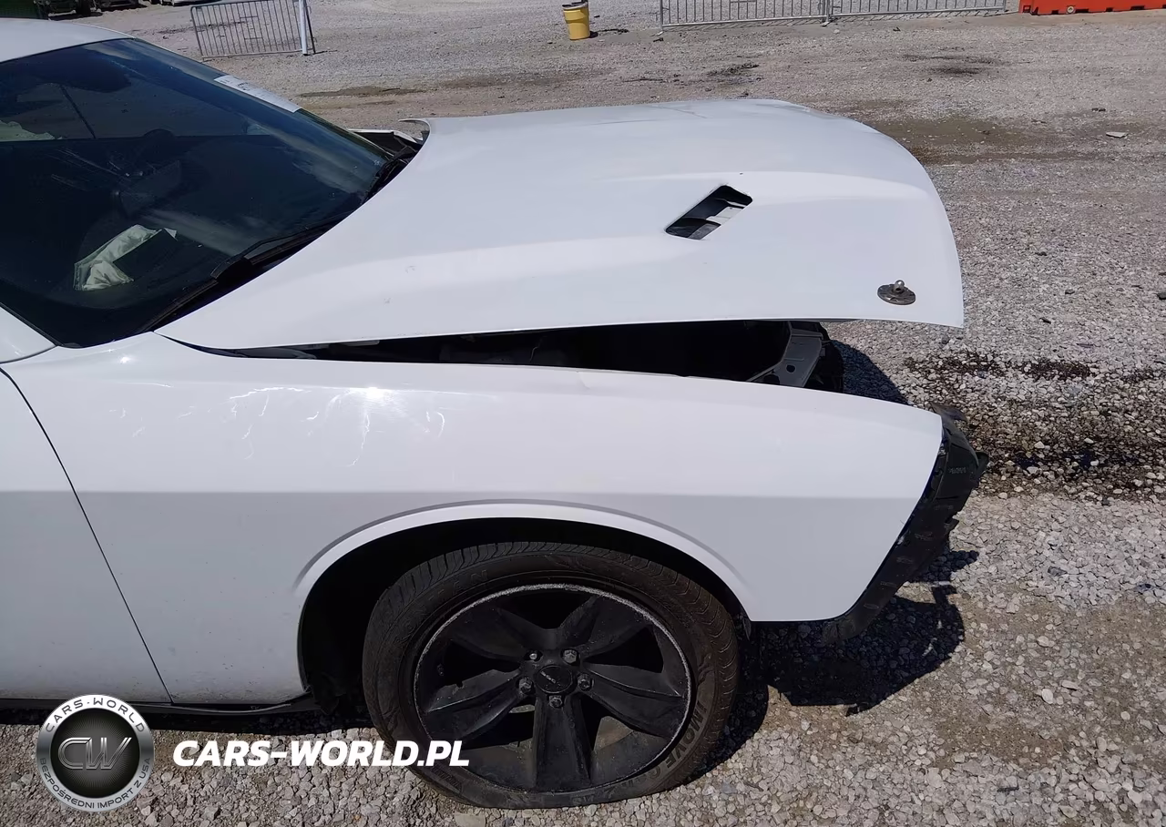 2017 Dodge Challenger Sxt VIN:2C3CDZAG8HH578134 - 18
