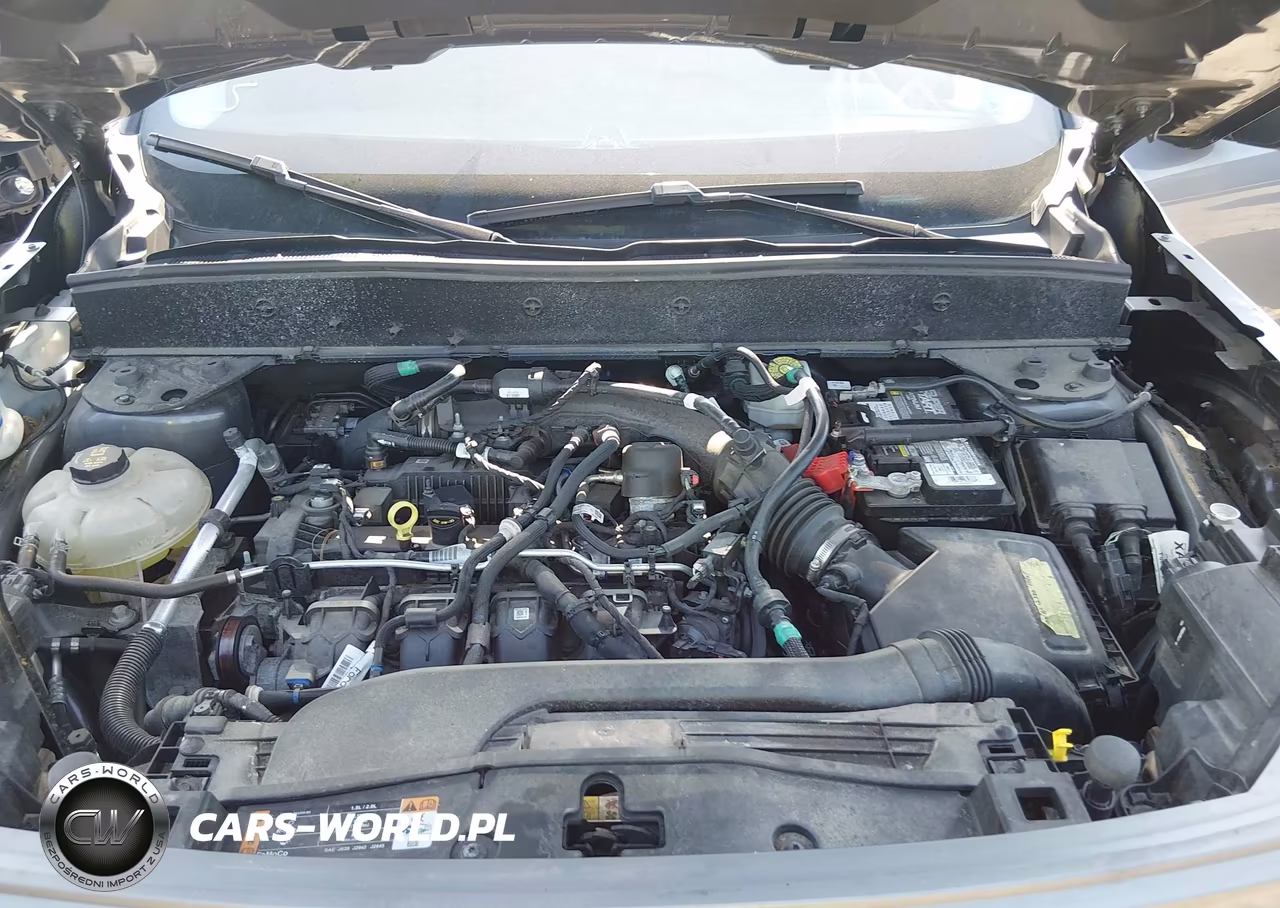 2023 Ford Bronco Sport Badlands VIN:3FMCR9D92PRE04083 - 10