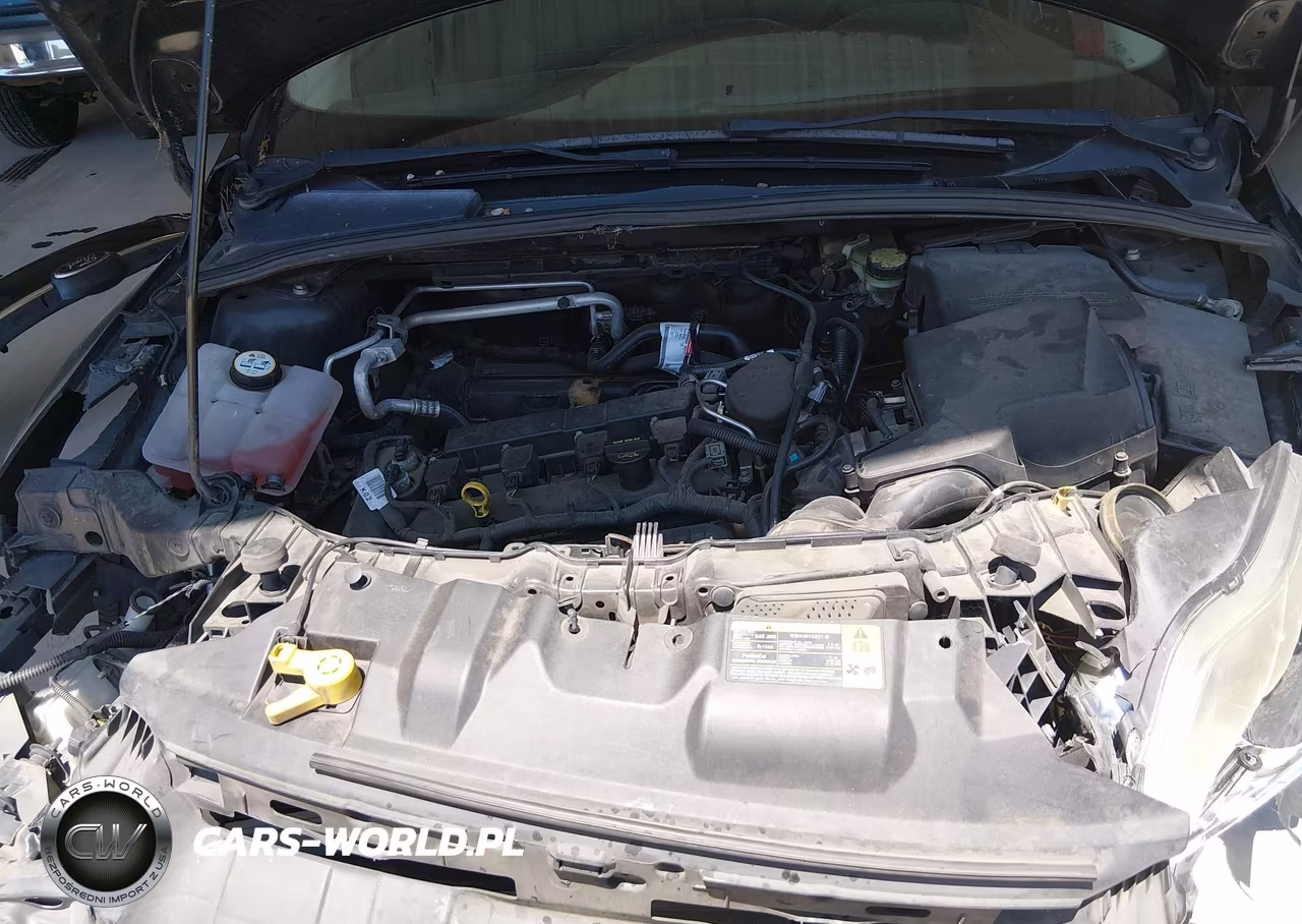 2012 Ford Focus S VIN:1FAHP3E2XCL429875 - 10