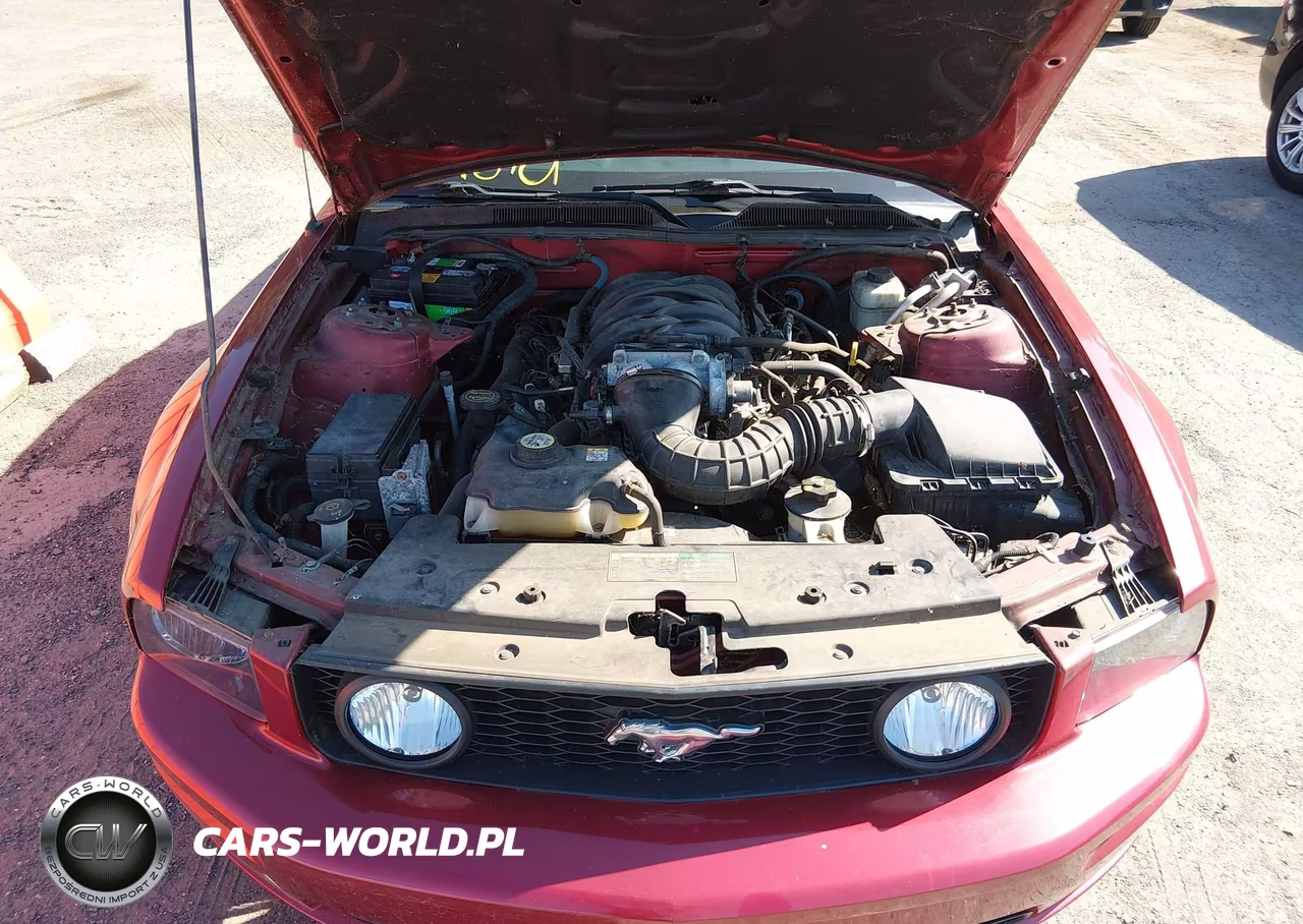 2006 Ford Mustang Gt VIN:1ZVHT85H965210743 - 10