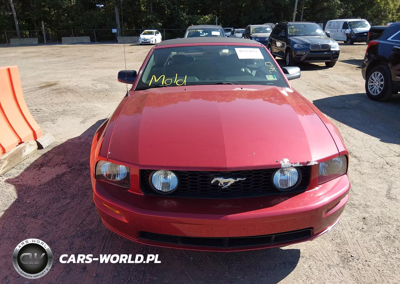 2006 Ford Mustang Gt VIN:1ZVHT85H965210743 - 12