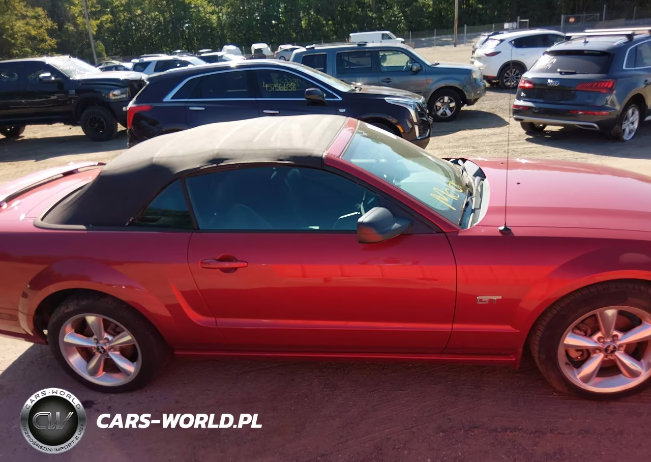 2006 Ford Mustang Gt VIN:1ZVHT85H965210743 - 13