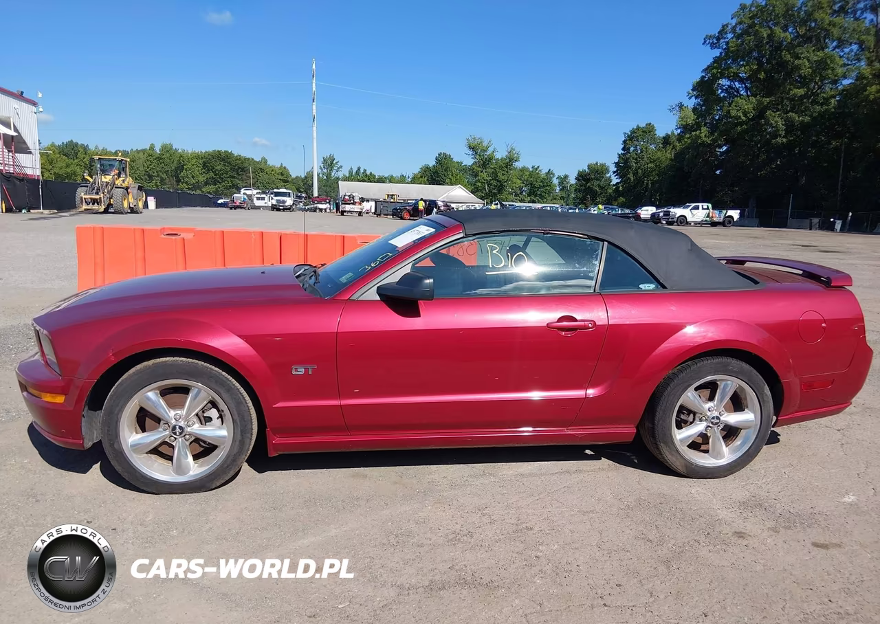 2006 Ford Mustang Gt VIN:1ZVHT85H965210743 - 14