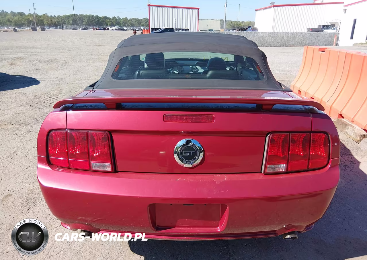 2006 Ford Mustang Gt VIN:1ZVHT85H965210743 - 16