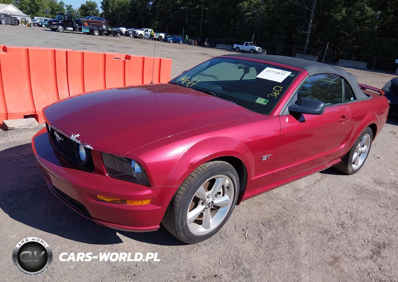 2006 Ford Mustang Gt VIN:1ZVHT85H965210743 - 2