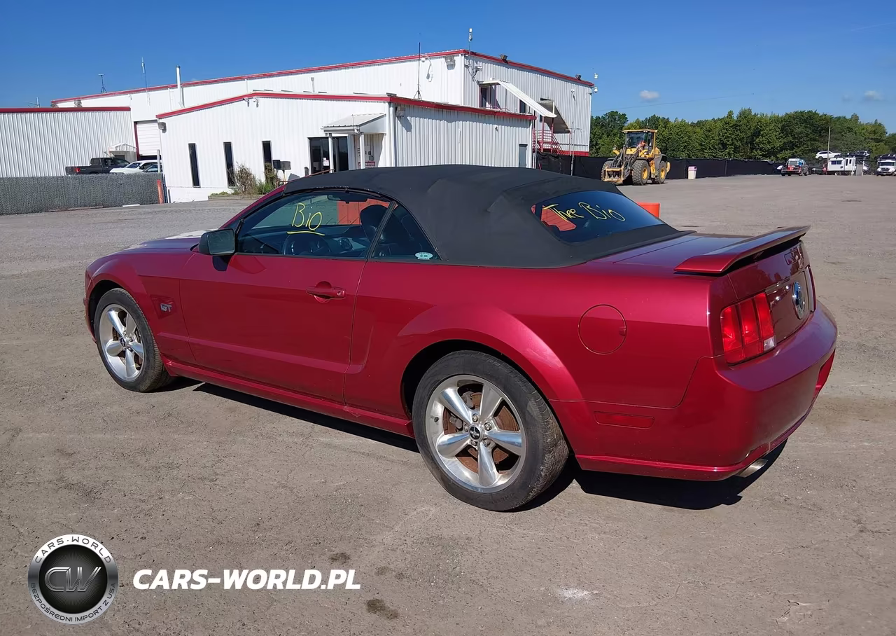 2006 Ford Mustang Gt VIN:1ZVHT85H965210743 - 3