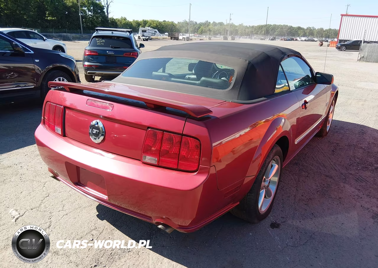 2006 Ford Mustang Gt VIN:1ZVHT85H965210743 - 4