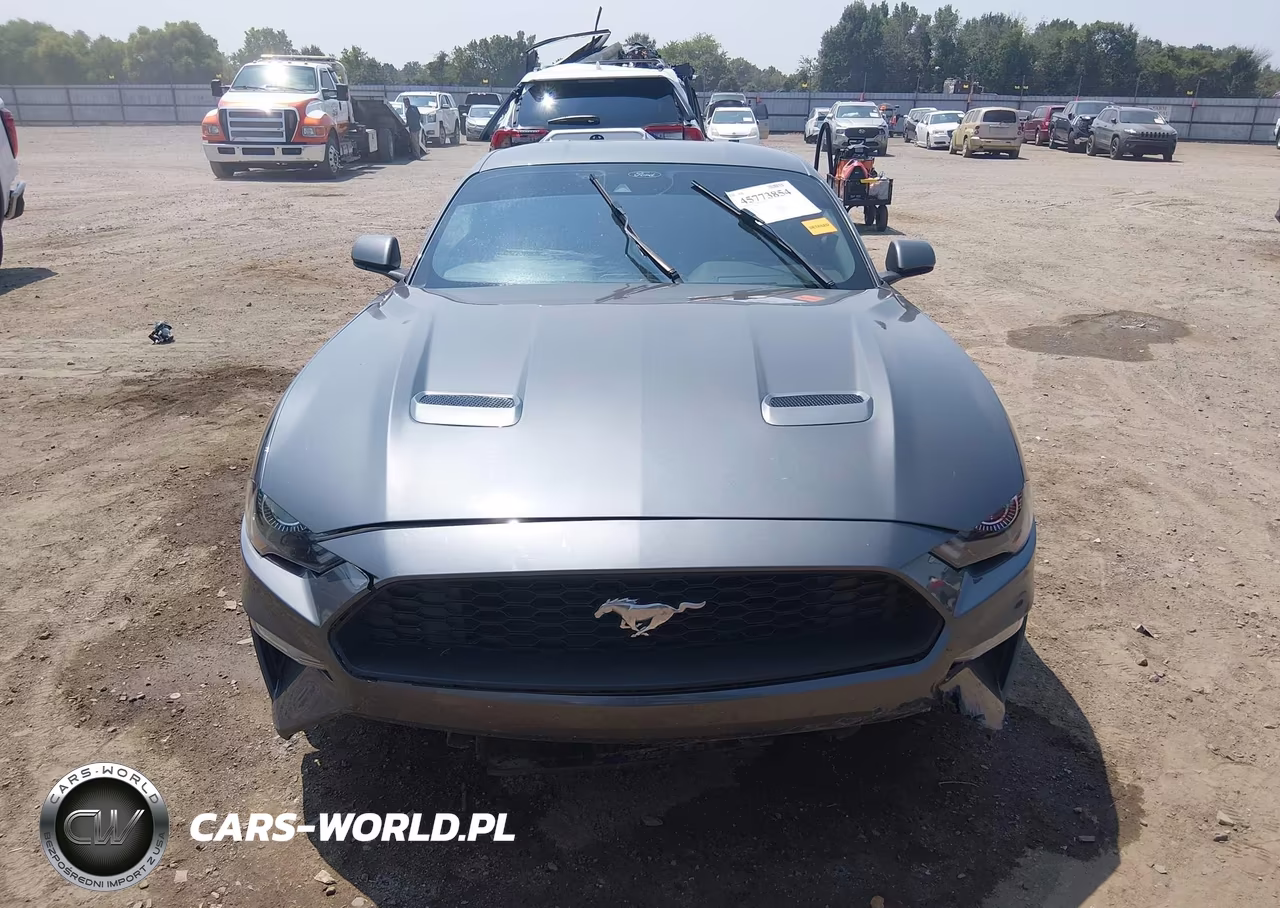 2022 Ford Mustang Ecoboost Premium Fastback VIN:1FA6P8TH7N5147941 - 13