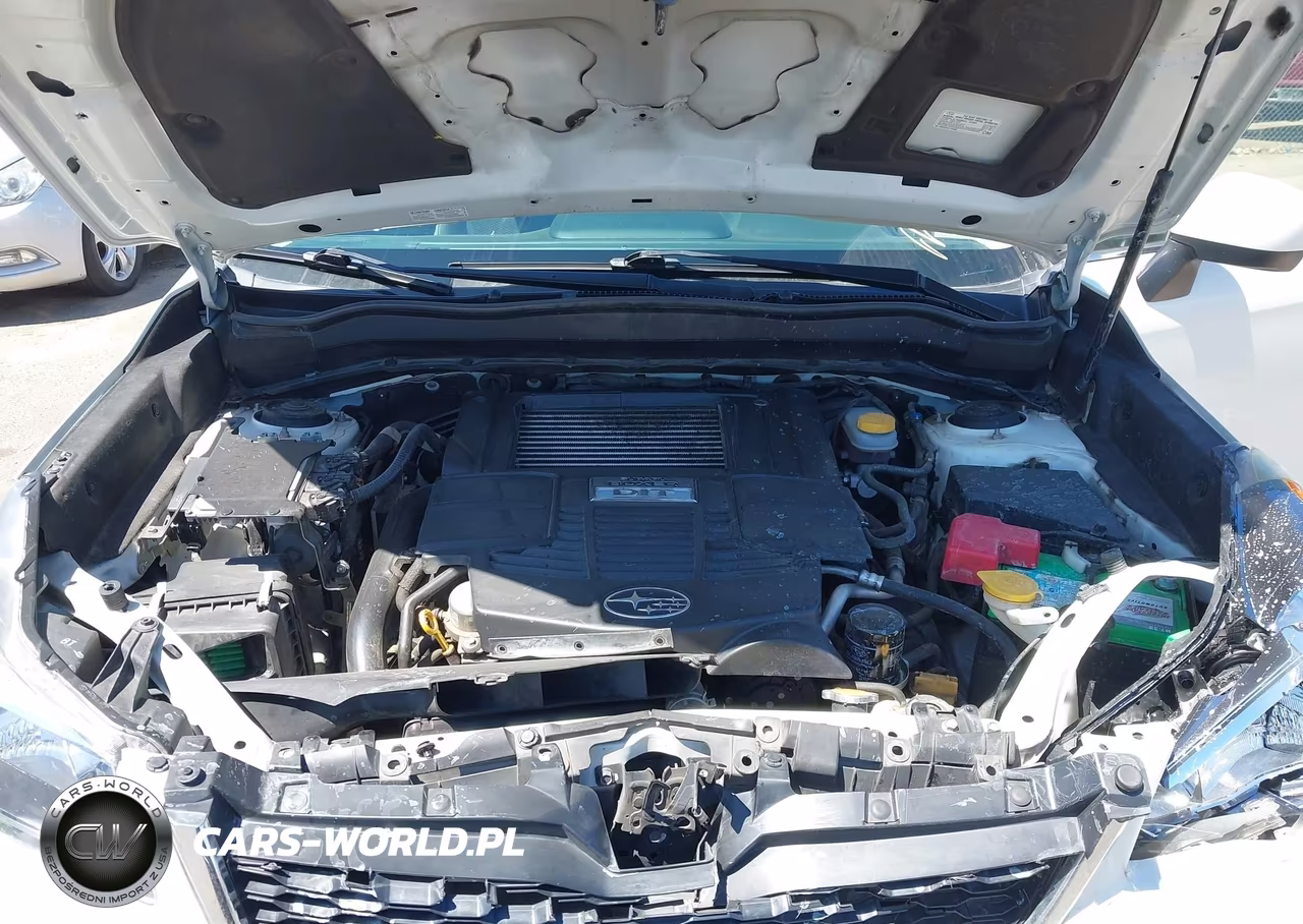 2016 Subaru Forester 2.0Xt Premium VIN:JF2SJGDC8GH565273 - 10