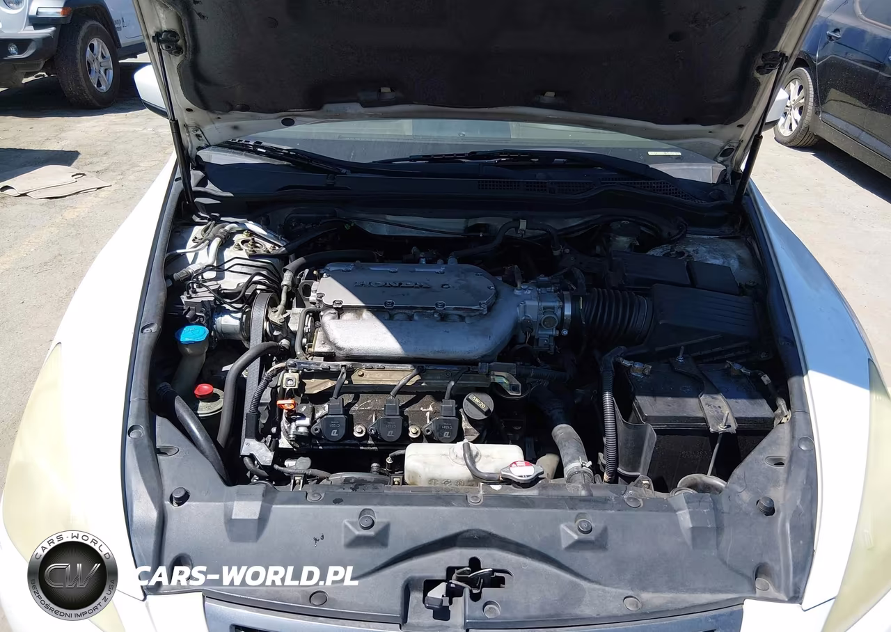 2004 Honda Accord 3.0 Ex VIN:1HGCM66594A044832 - 10