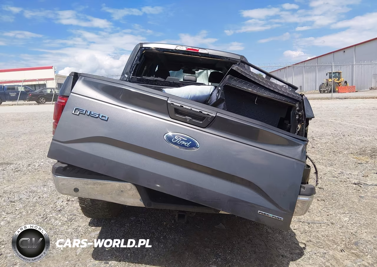 2015 Ford F-150 Lariat VIN:1FTEW1EF8FFA47659 - 17