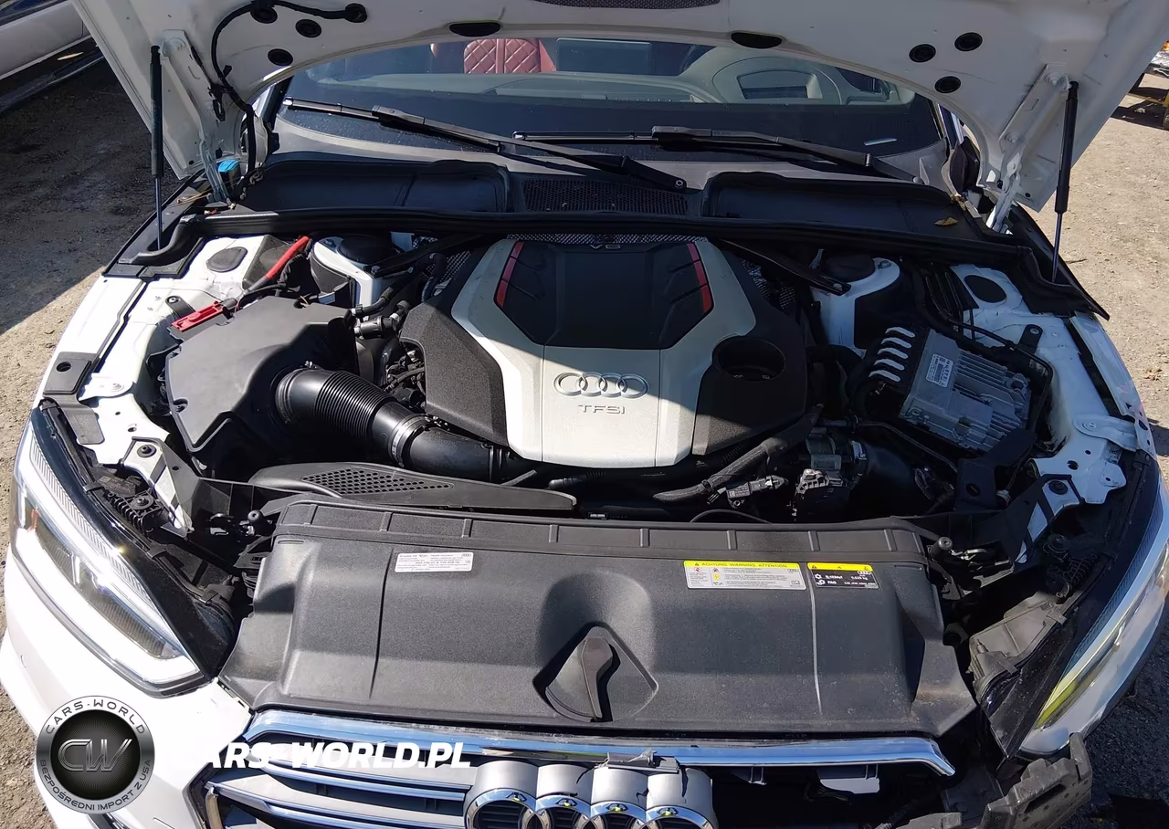 2019 Audi S5 3.0T Premium Plus VIN:WAU24GF54KN004824 - 10