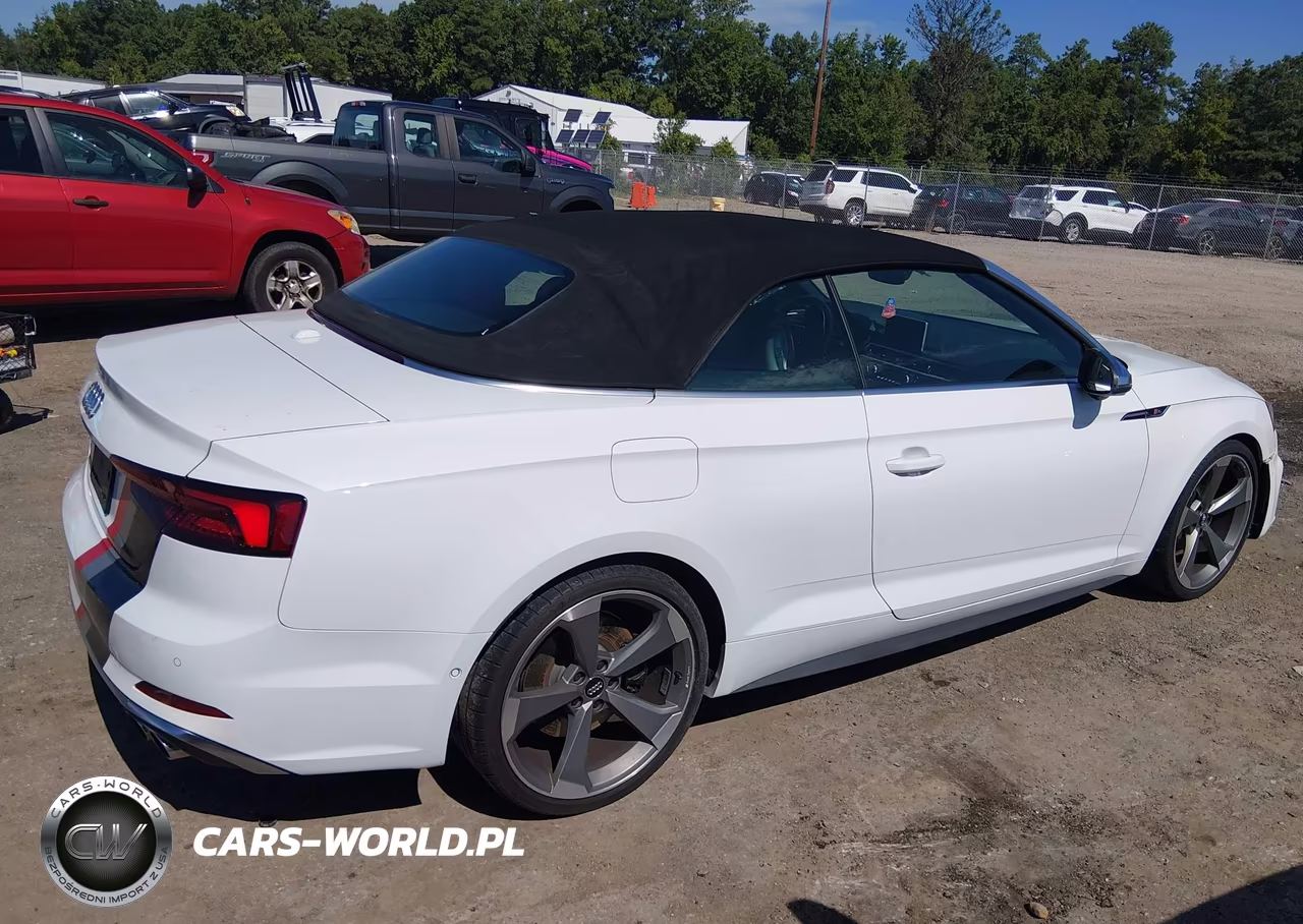 2019 Audi S5 3.0T Premium Plus VIN:WAU24GF54KN004824 - 13