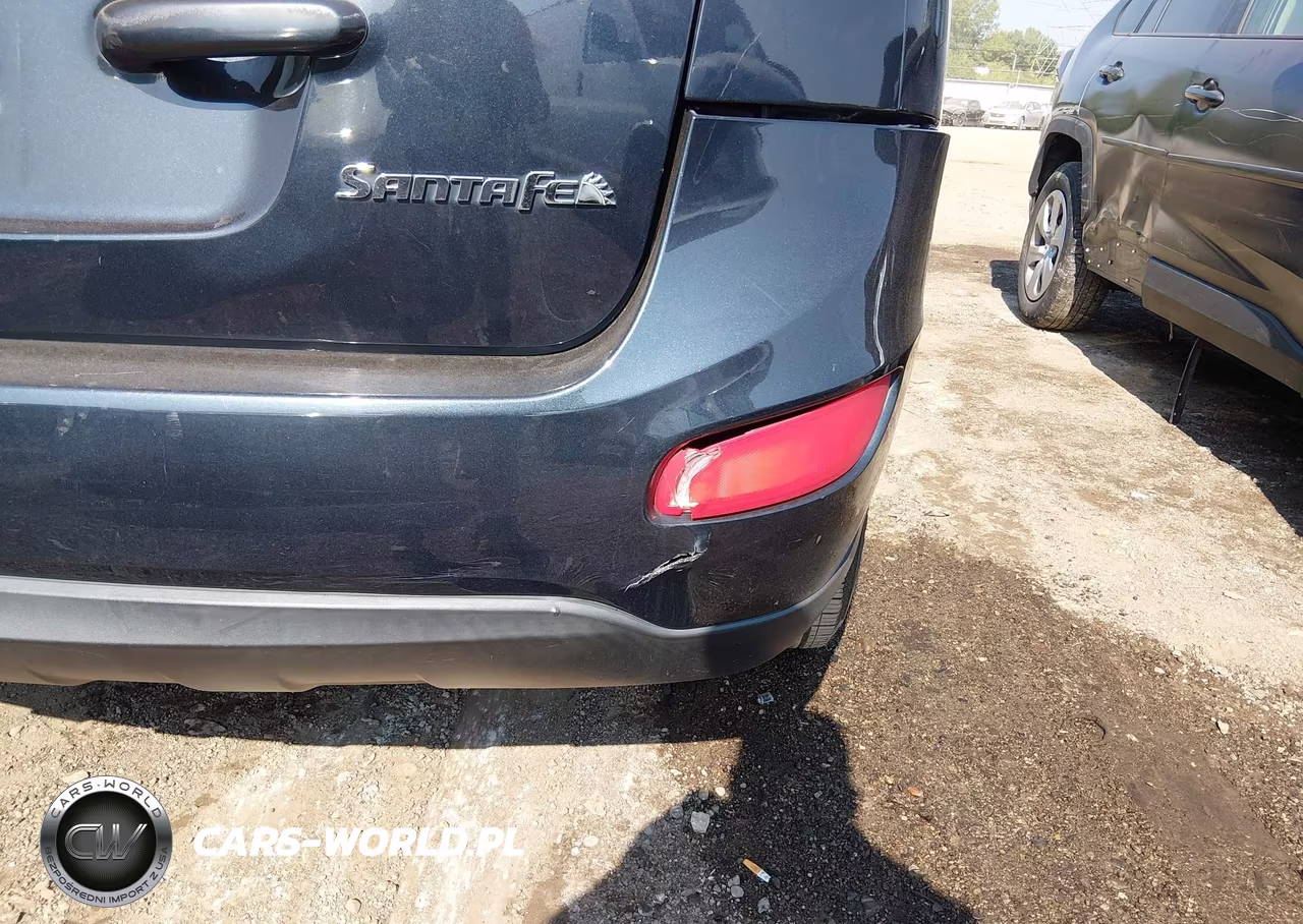 2010 Hyundai Santa Fe Gls VIN:5NMSG3AB6AH346500 - 6