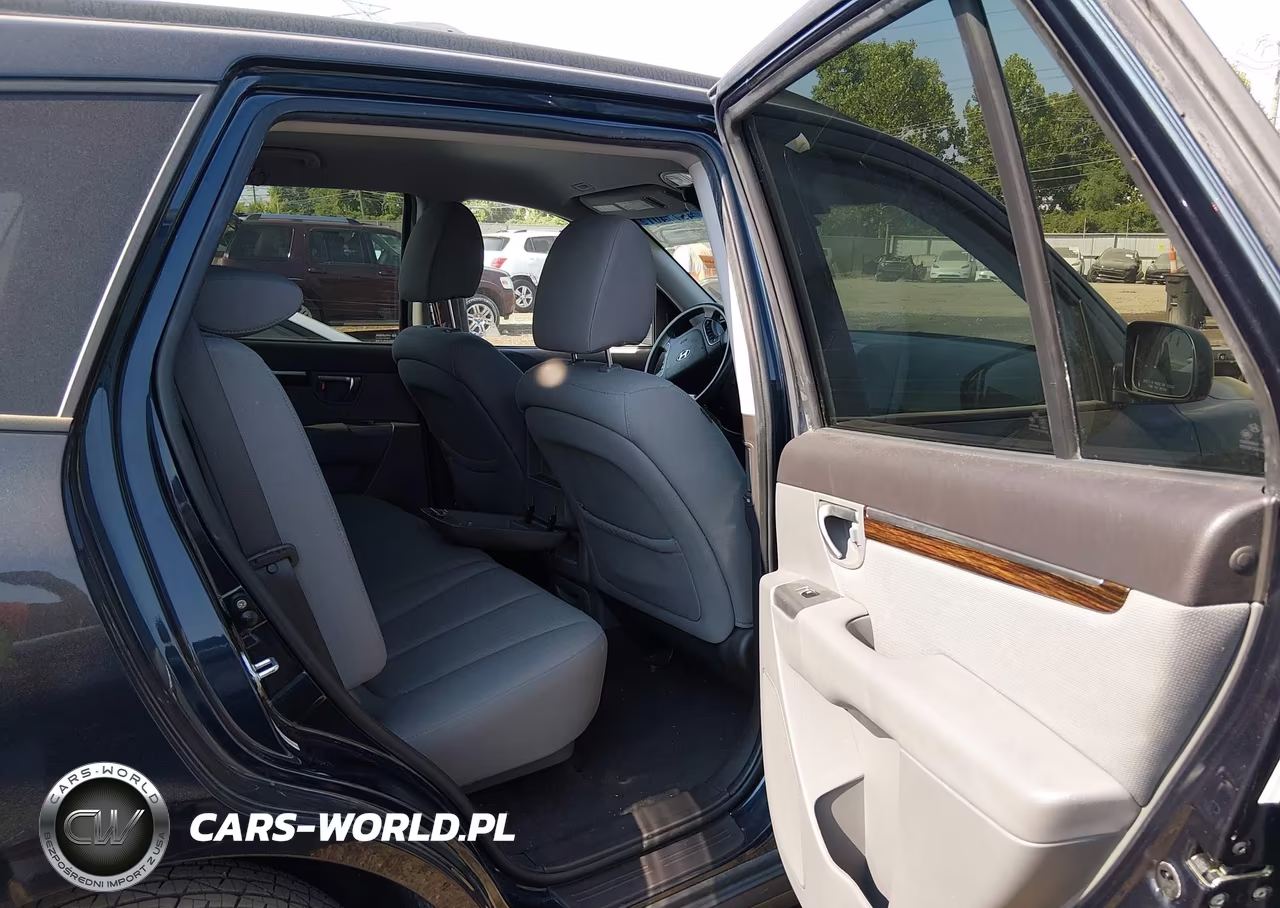 2010 Hyundai Santa Fe Gls VIN:5NMSG3AB6AH346500 - 8