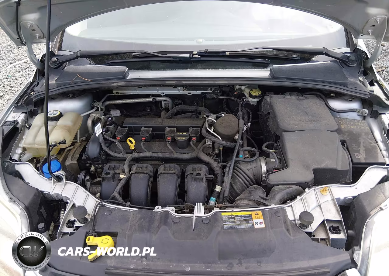 2013 Ford Focus Se VIN:1FADP3F2XDL135357 - 10