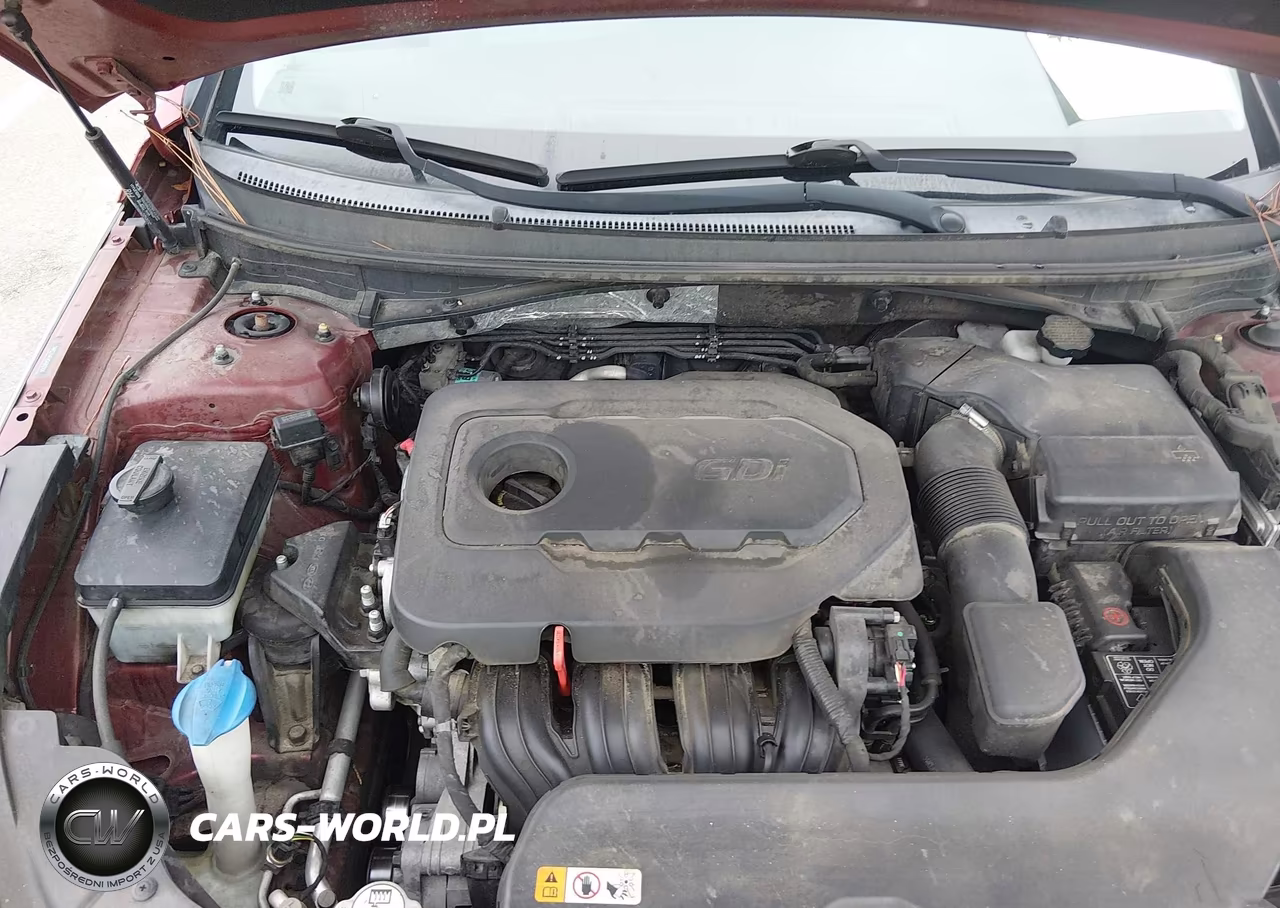 2016 Hyundai Sonata Se VIN:5NPE24AF6GH282104 - 10
