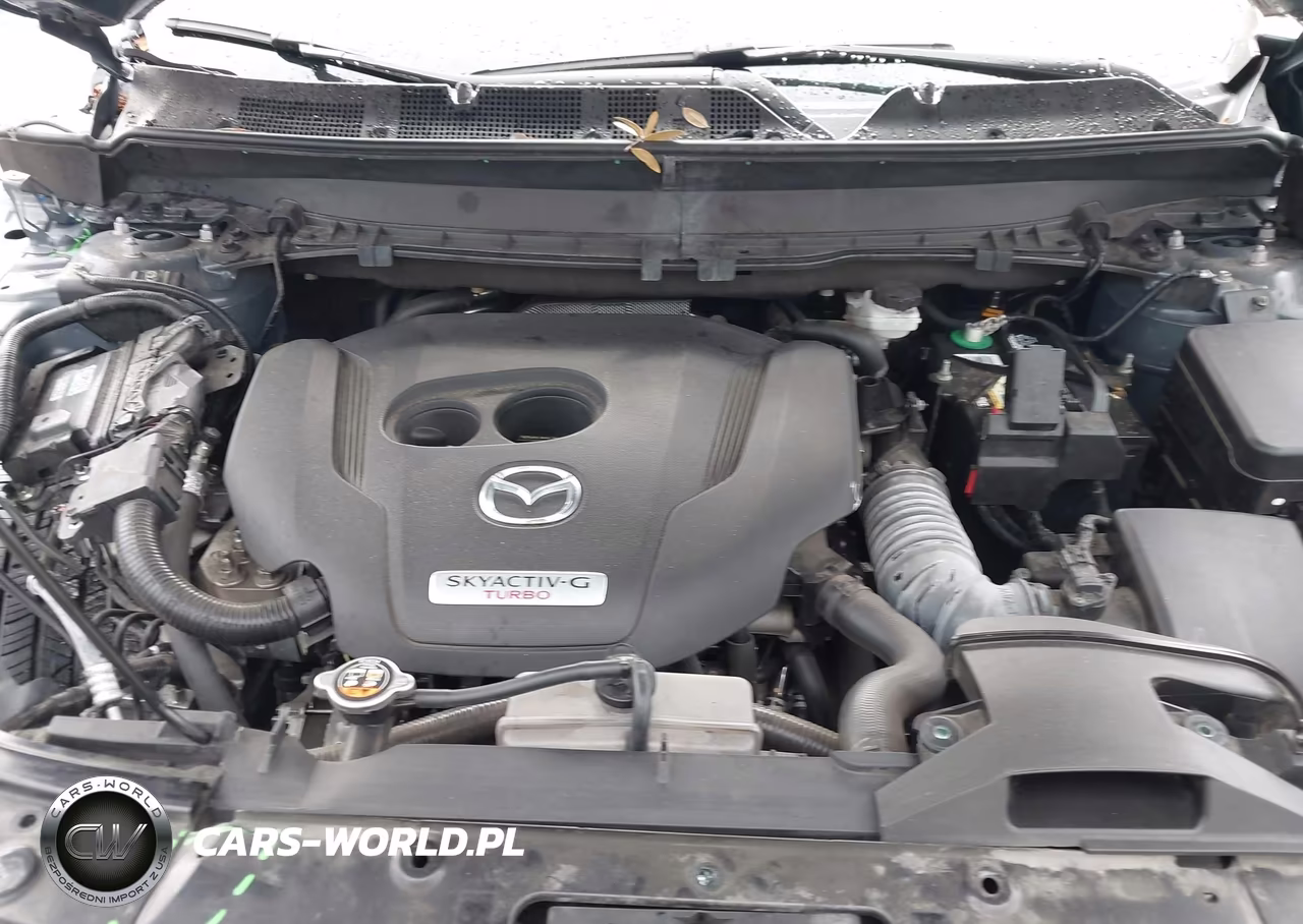 2022 Mazda Cx-9 Carbon Edition VIN:JM3TCBDY3N0625653 - 10