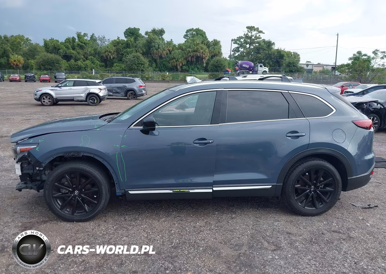 2022 Mazda Cx-9 Carbon Edition VIN:JM3TCBDY3N0625653 - 14