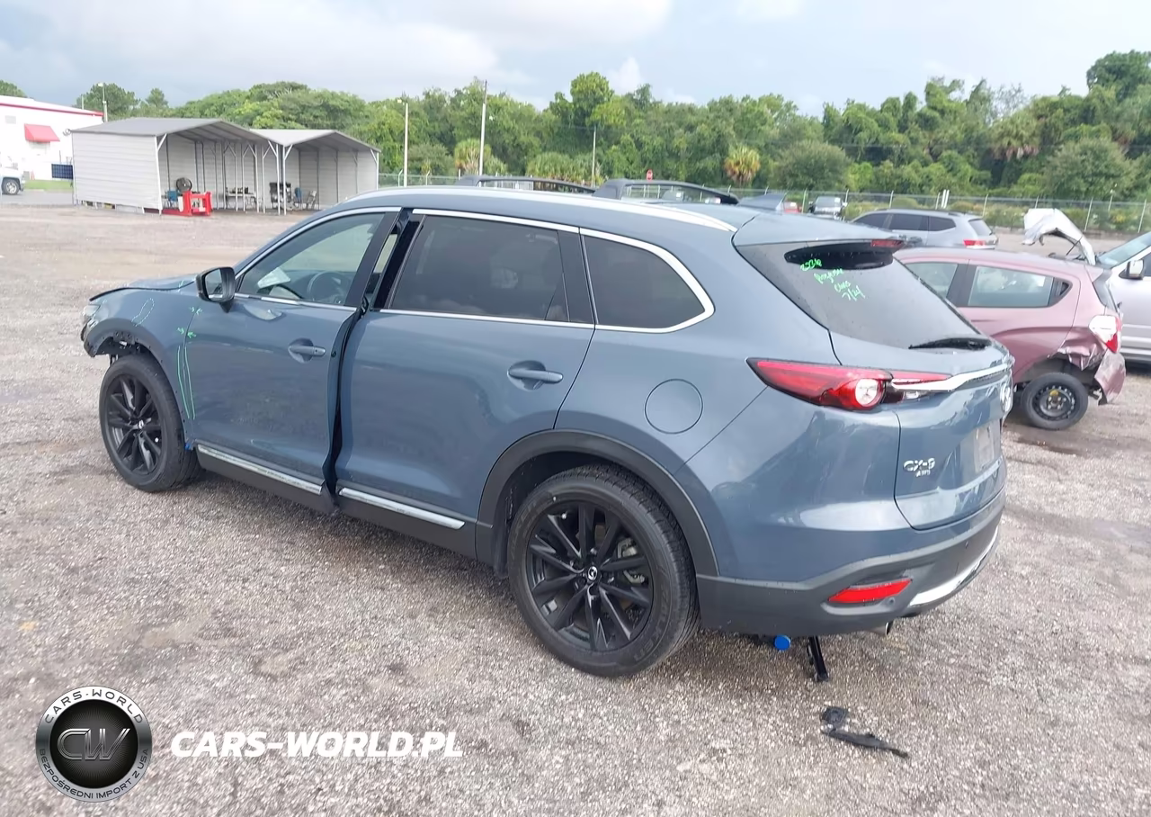 2022 Mazda Cx-9 Carbon Edition VIN:JM3TCBDY3N0625653 - 3