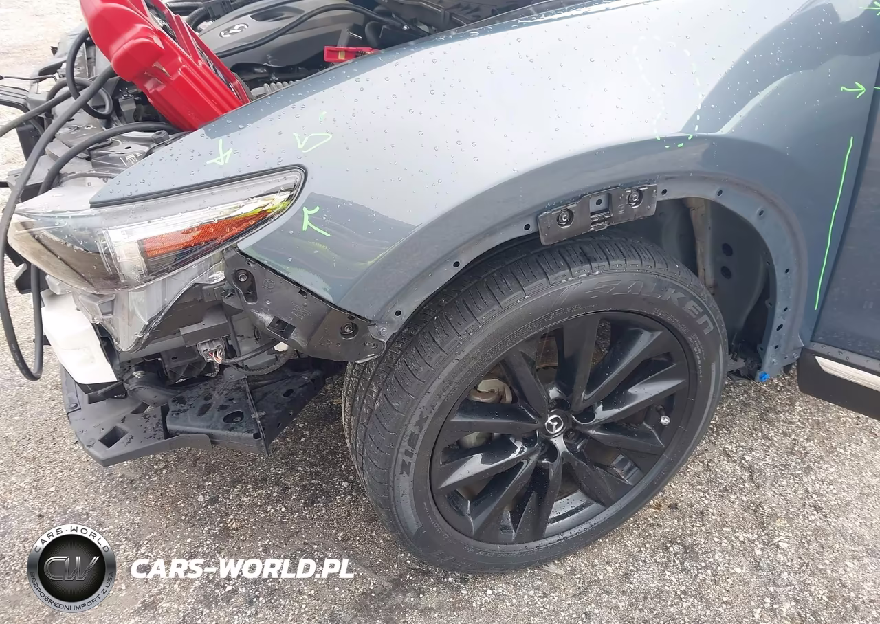 2022 Mazda Cx-9 Carbon Edition VIN:JM3TCBDY3N0625653 - 6
