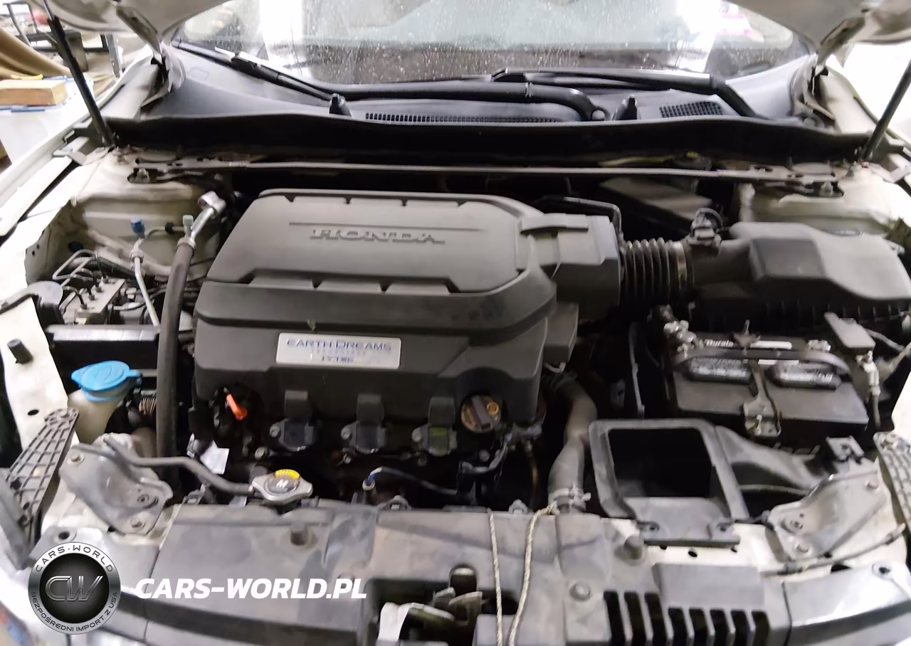 2014 Honda Accord Ex-L V-6 VIN:1HGCR3F80EA010256 - 10