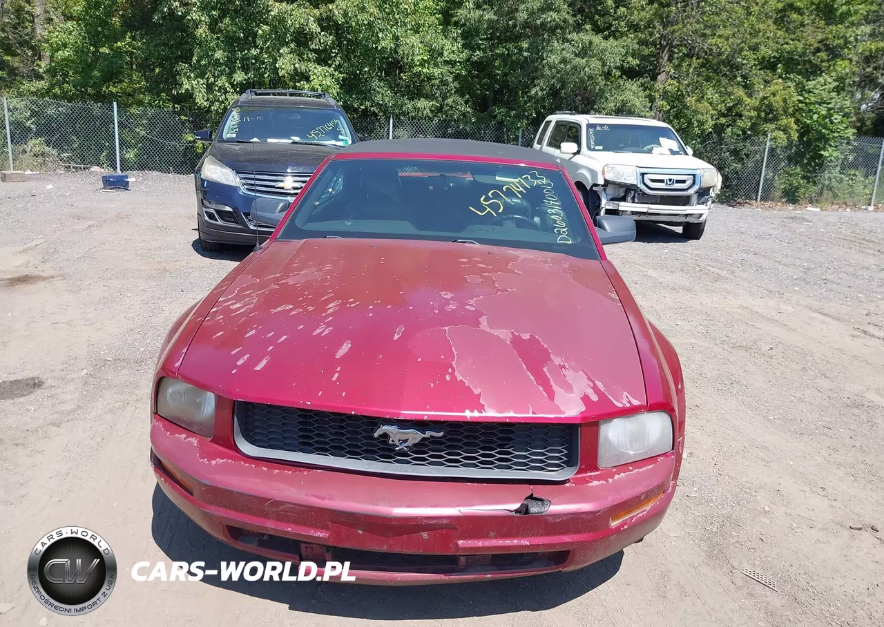 2007 Ford Mustang V6 Deluxe-V6 Premium VIN:1ZVFT84N575355178 - 10