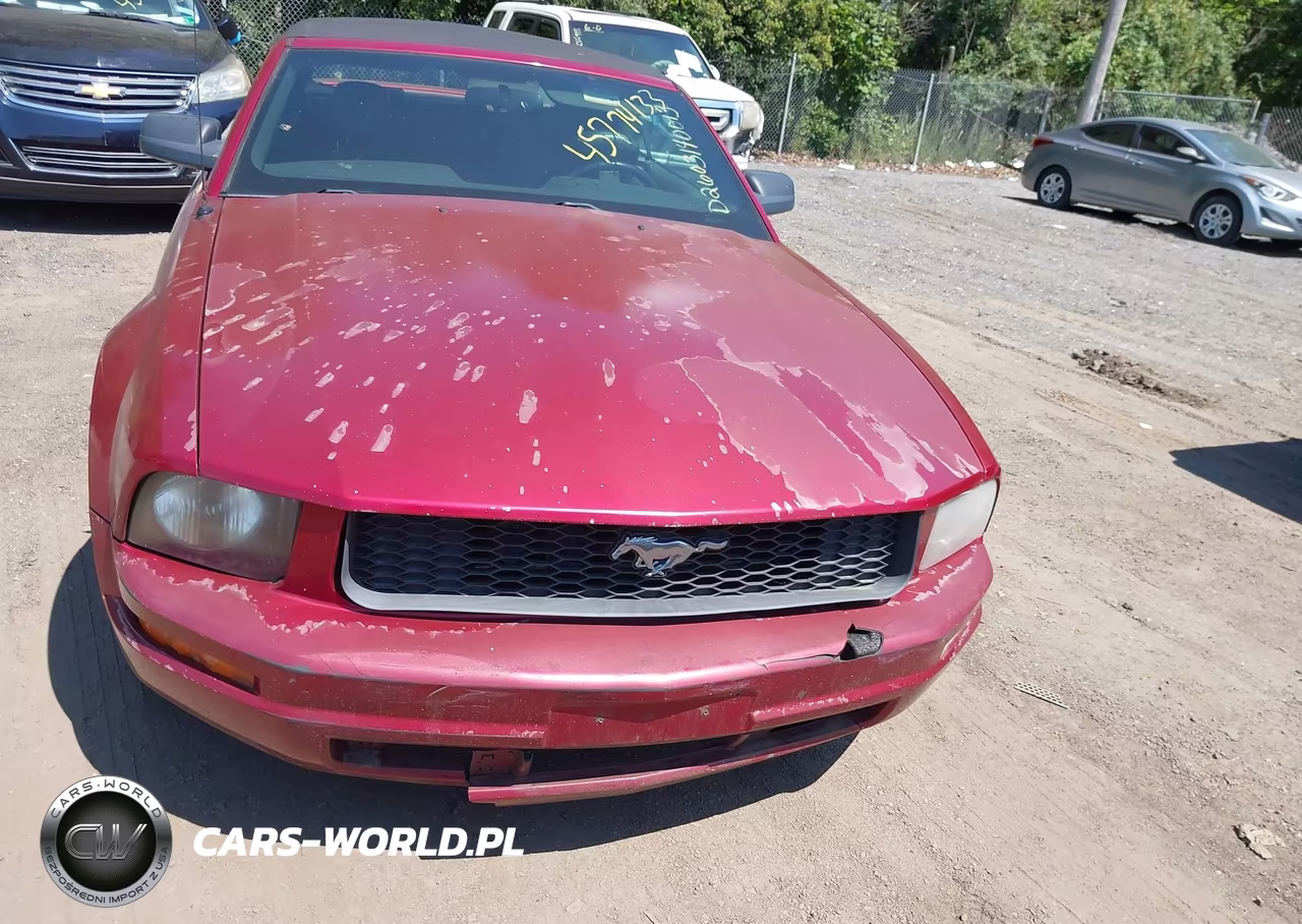 2007 Ford Mustang V6 Deluxe-V6 Premium VIN:1ZVFT84N575355178 - 11