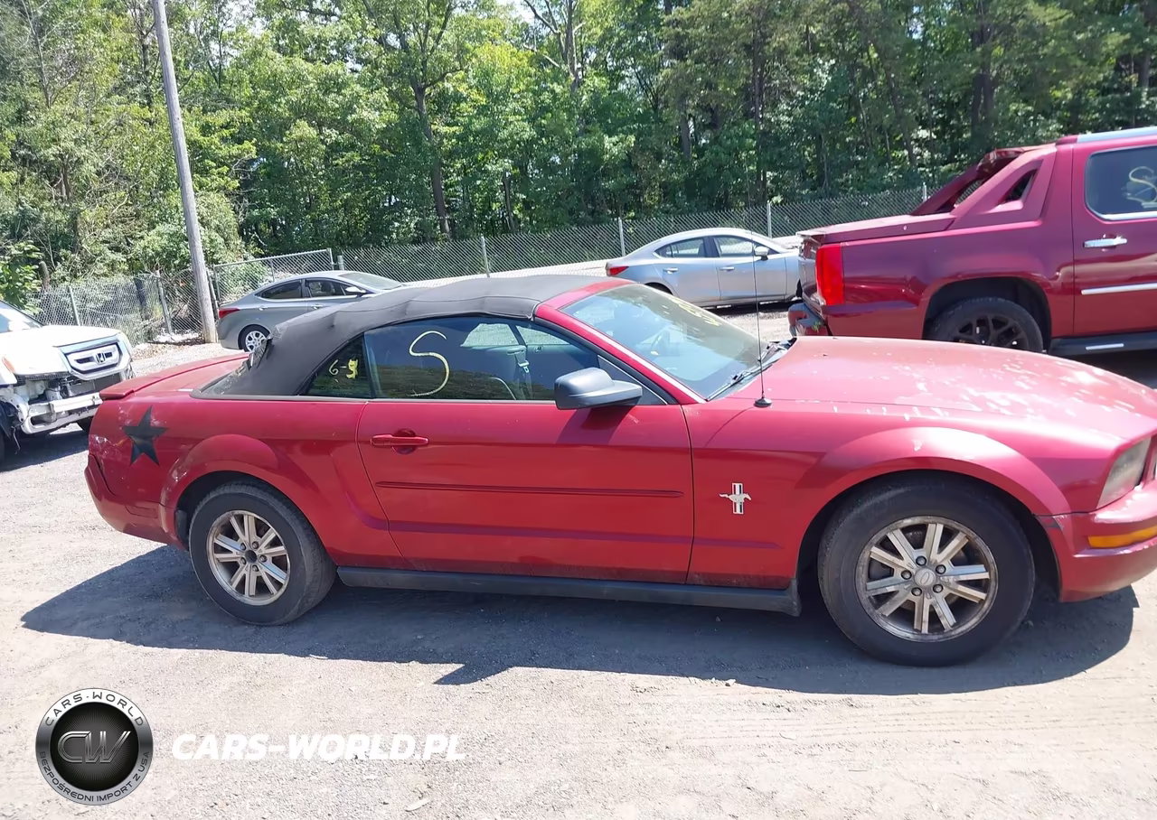 2007 Ford Mustang V6 Deluxe-V6 Premium VIN:1ZVFT84N575355178 - 12