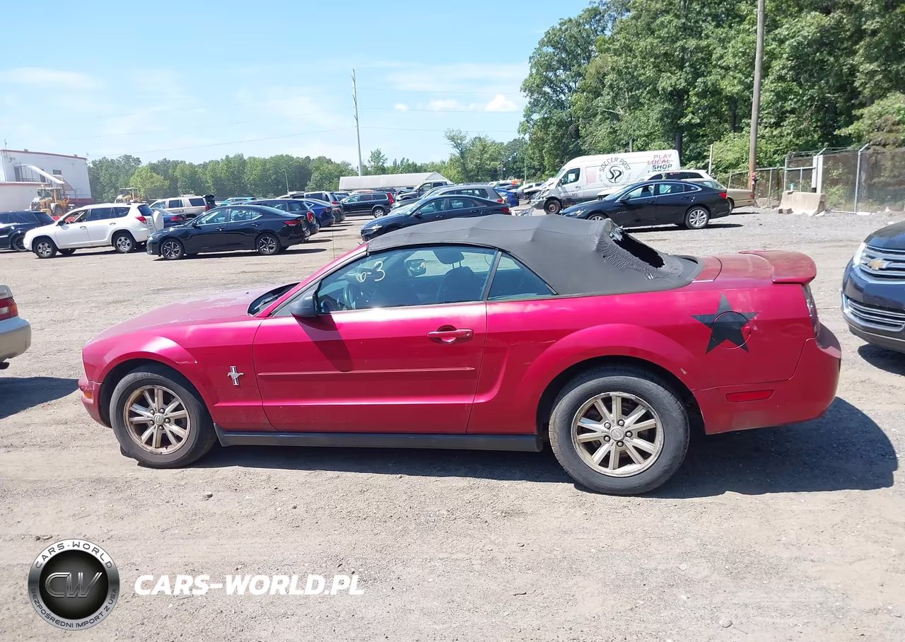 2007 Ford Mustang V6 Deluxe-V6 Premium VIN:1ZVFT84N575355178 - 13