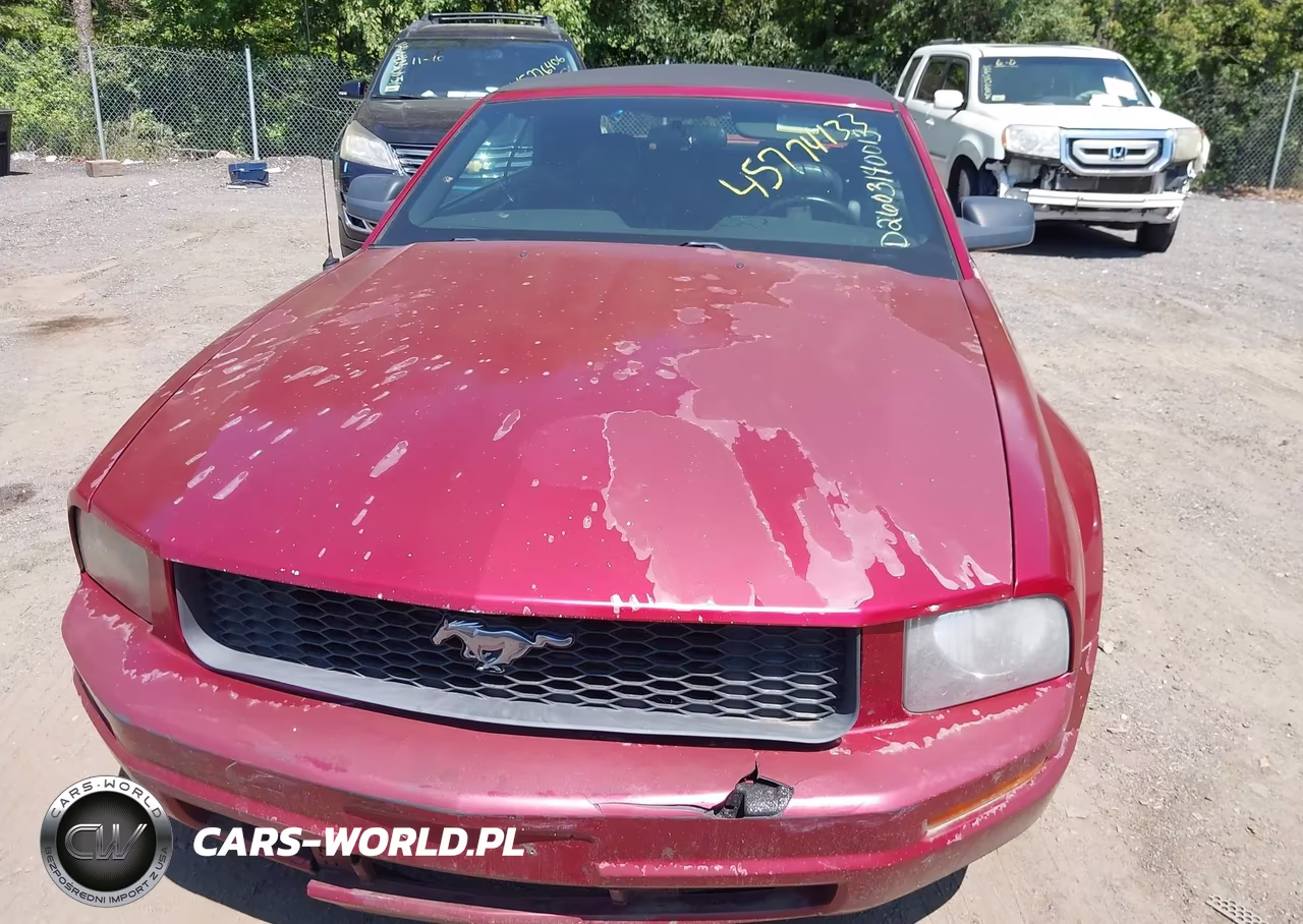 2007 Ford Mustang V6 Deluxe-V6 Premium VIN:1ZVFT84N575355178 - 6