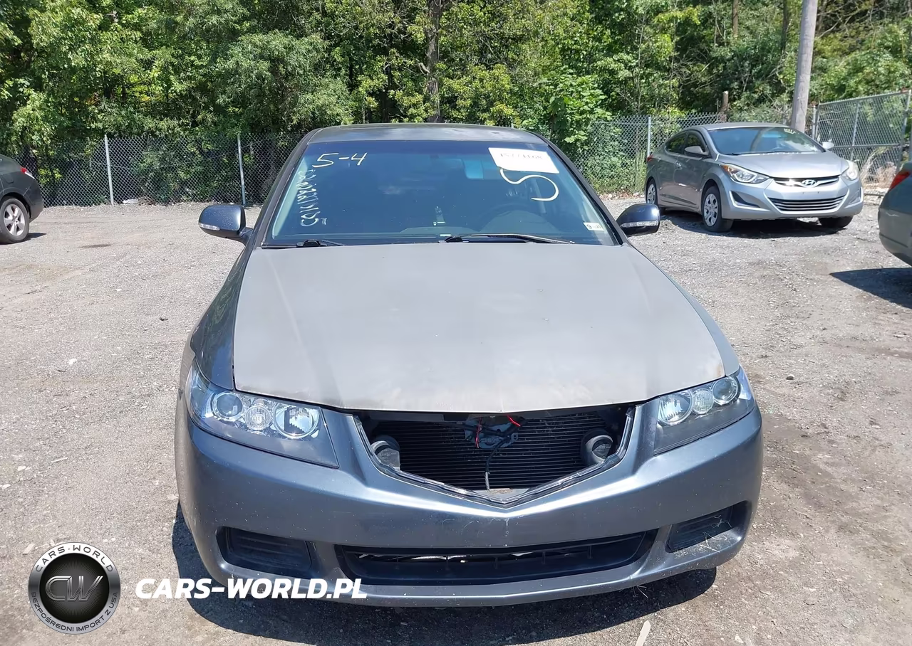 2004 Acura Tsx VIN:JH4CL95864C043185 - 10