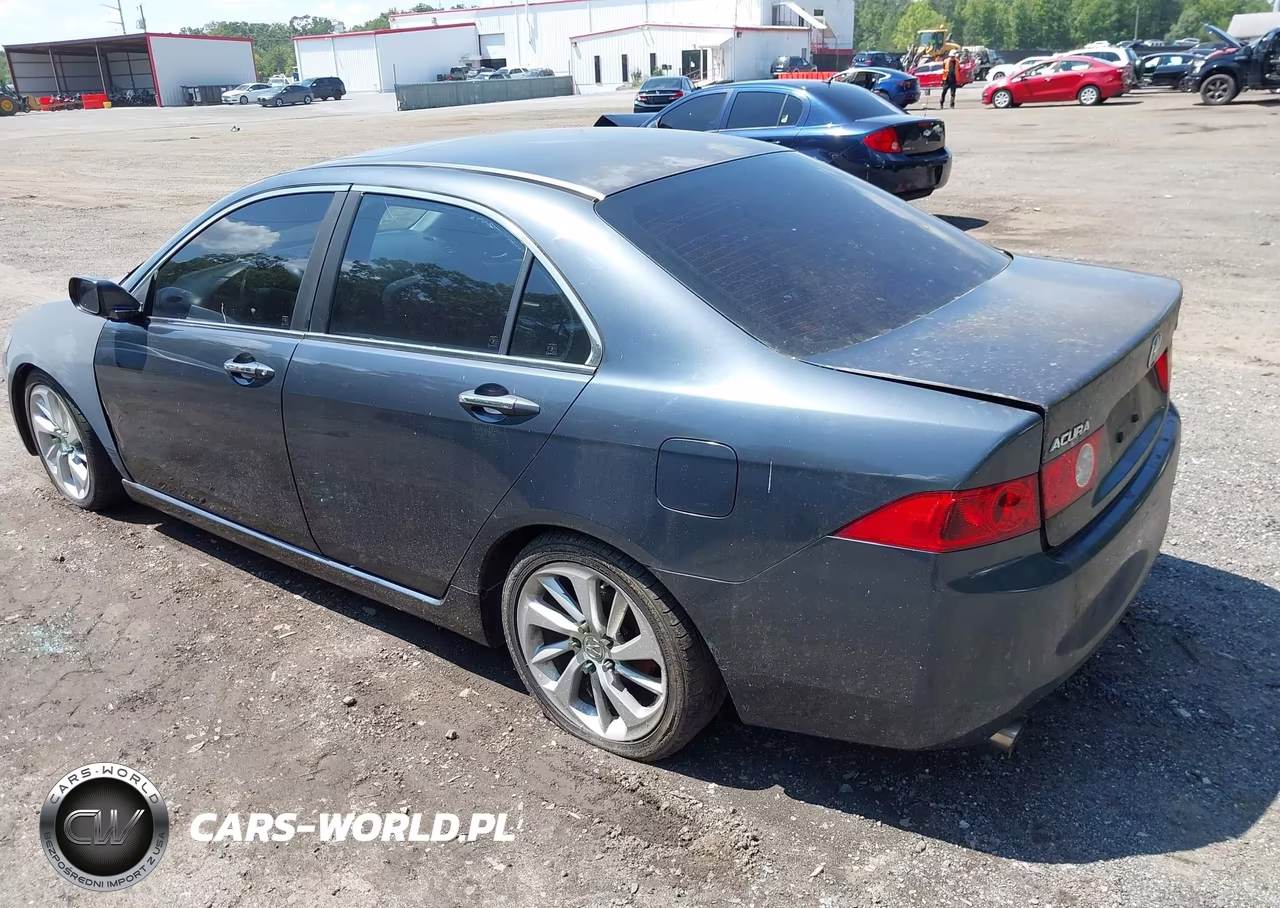 2004 Acura Tsx VIN:JH4CL95864C043185 - 3