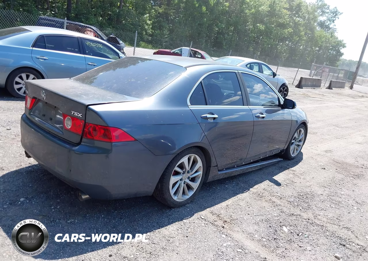 2004 Acura Tsx VIN:JH4CL95864C043185 - 4
