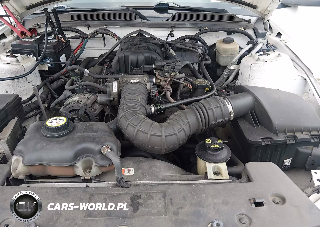 2007 Ford Mustang V6 Deluxe-V6 Premium VIN:1ZVFT80N675264149 - 10