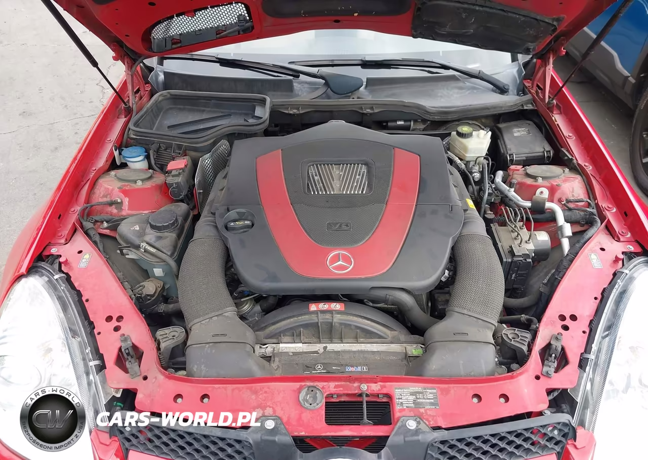 2010 Mercedes-Benz Slk 350 VIN:WDBWK5JA3AF230881 - 10