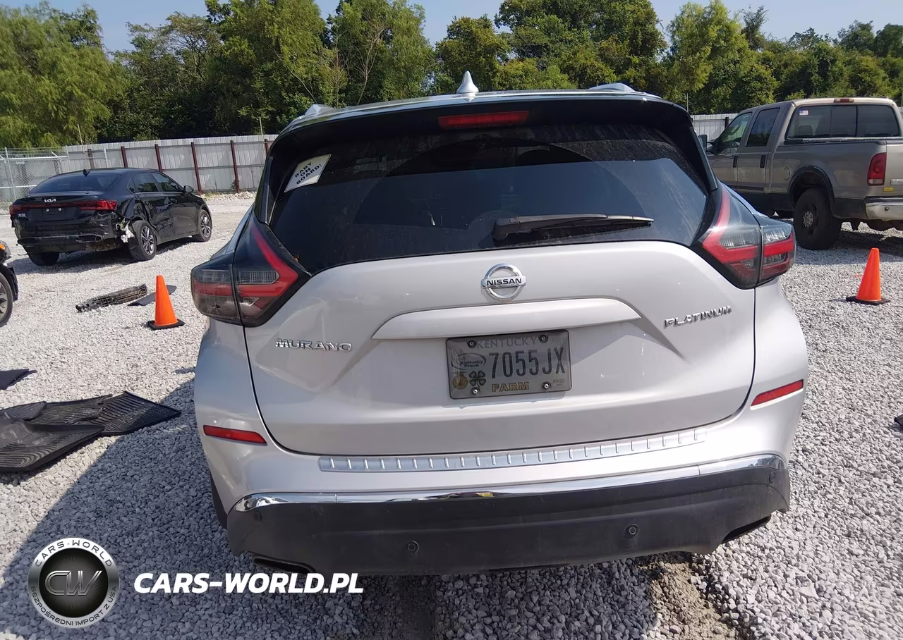 2020 Nissan Murano Platinum Fwd VIN:5N1AZ2DJXLN158454 - 16
