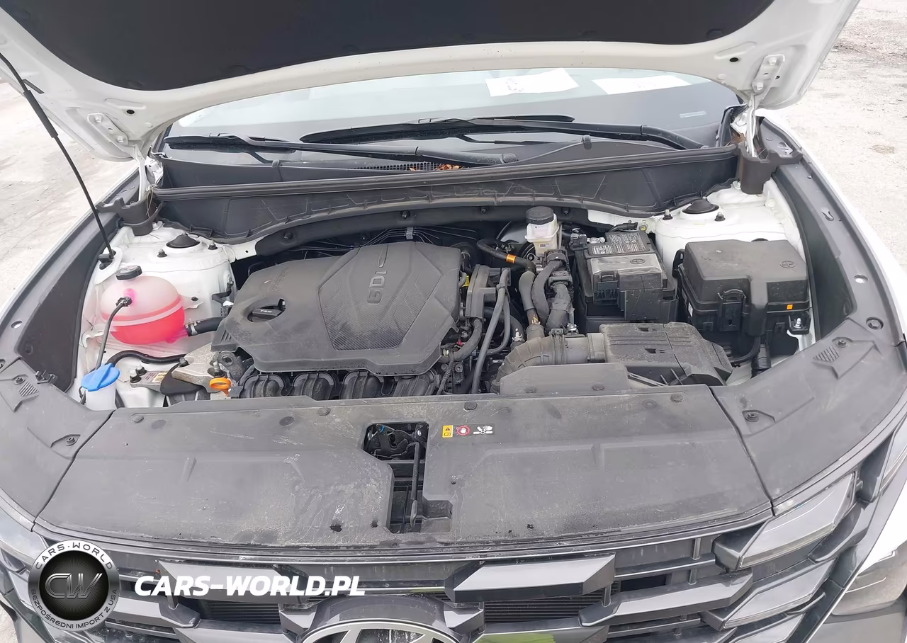 2025 Hyundai Tucson Sel Convenience VIN:5NMJCCDE9SH454334 - 10