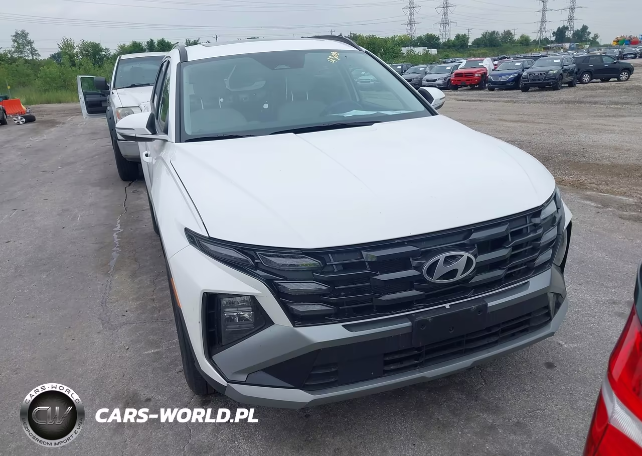 2025 Hyundai Tucson Sel Convenience VIN:5NMJCCDE9SH454334 - 13