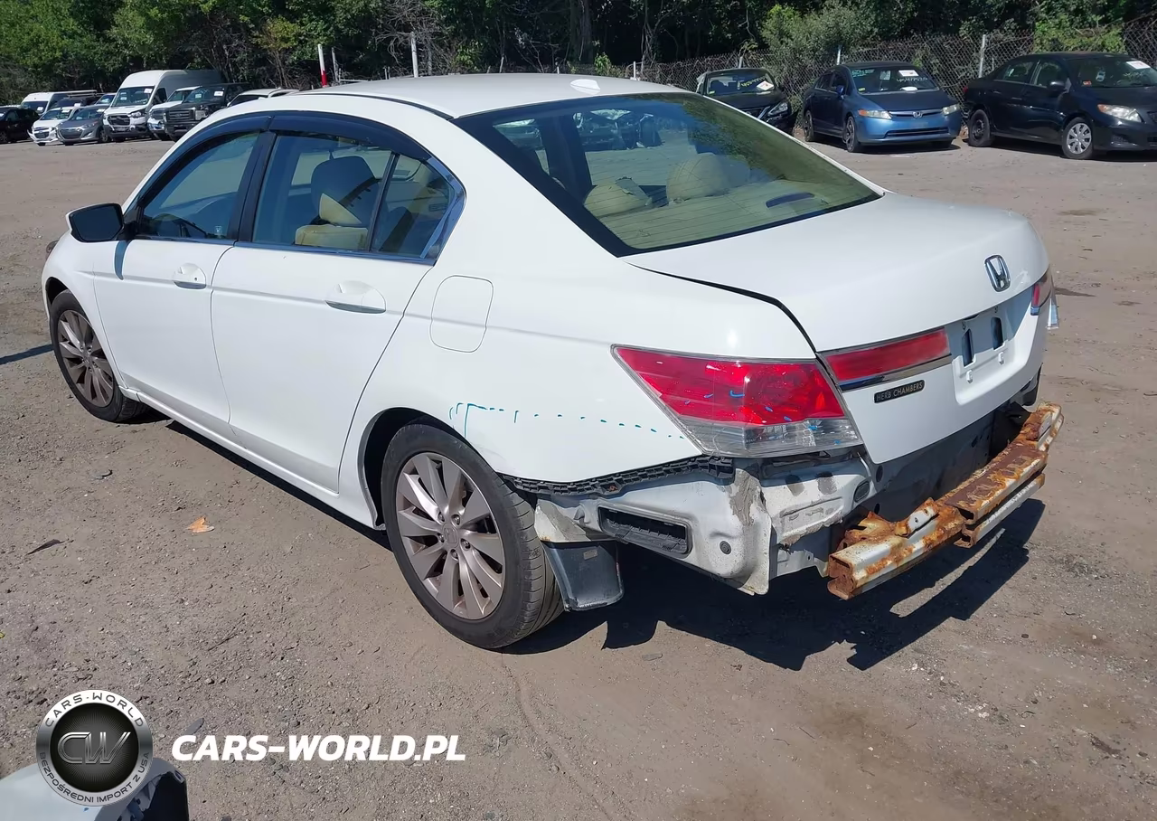 2010 Honda Accord 2.4 Ex-L VIN:1HGCP2F89AA141759 - 3