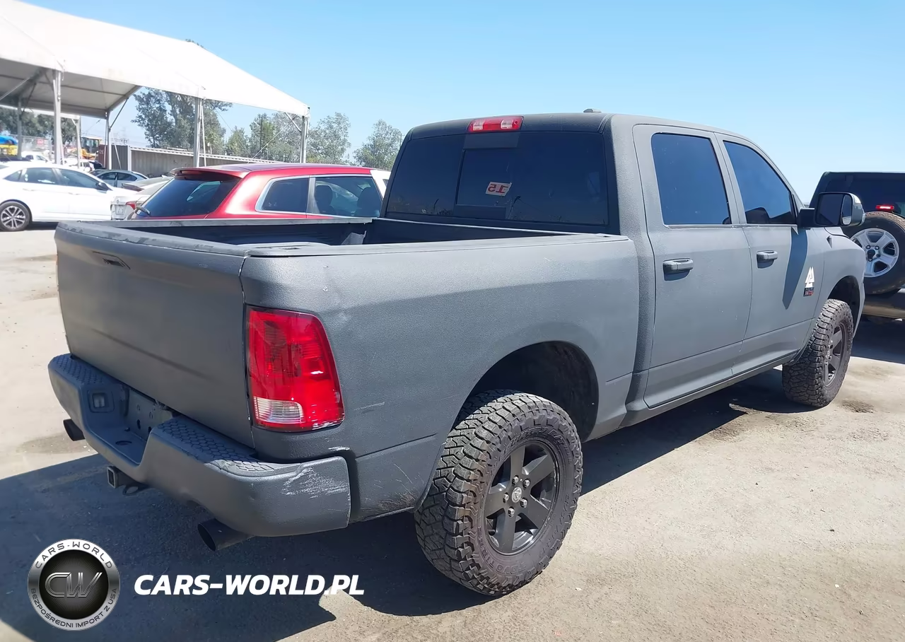 2010 Dodge Ram 1500 Slt-Sport-Trx VIN:1D7RV1CT2AS259668 - 4