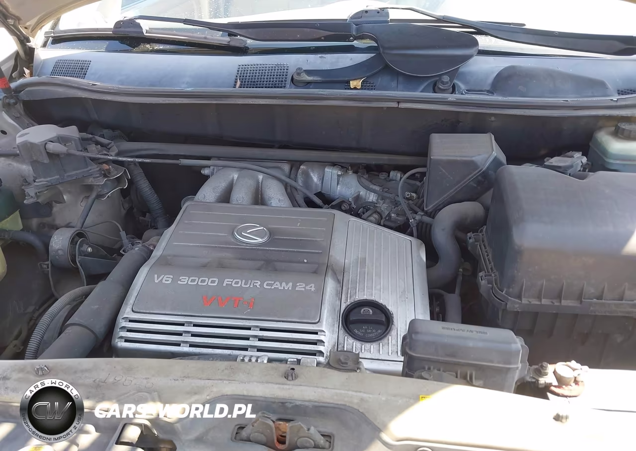 2002 Lexus Rx 300 VIN:JTJGF10U320123779 - 10