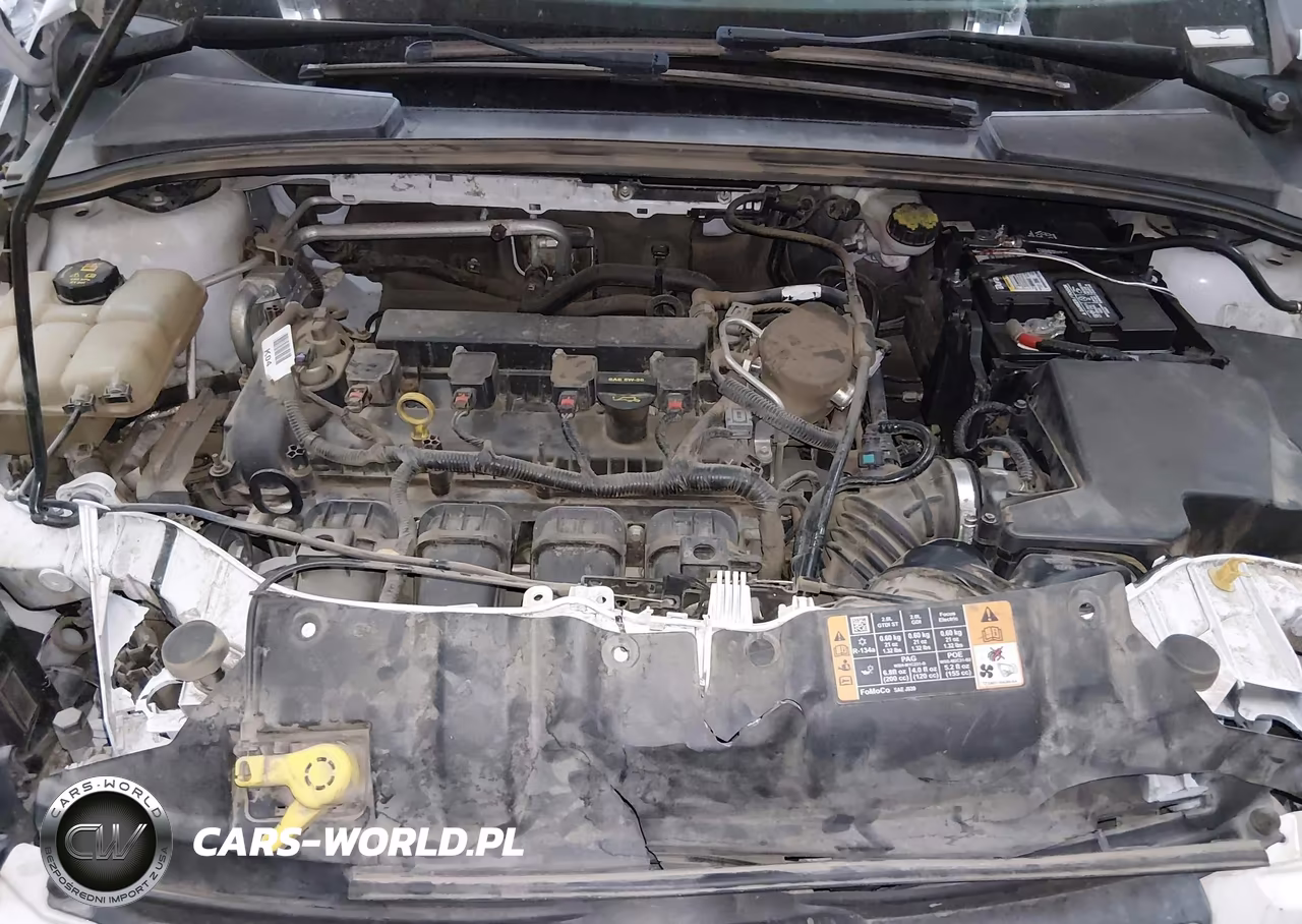 2014 Ford Focus Se VIN:1FADP3F26EL333791 - 10